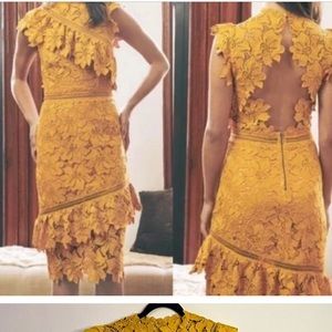 Saylor Mustard Reine Lace Dress